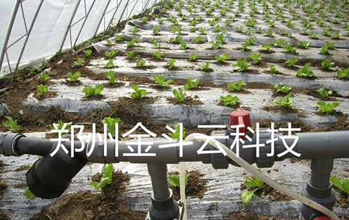 農業午夜激情影院