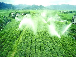 農業午夜激情影院 農業午夜激情影院