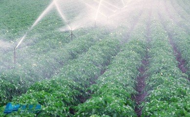 午夜激情影院係統